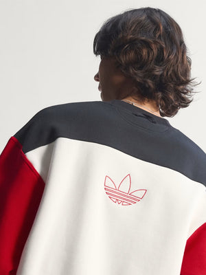 Adidas-USA-94-Graphic-Sweatshirt-Back-View