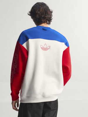 Adidas-WorldCup-USA-94-Graphic-Sweatshirt-Back-View